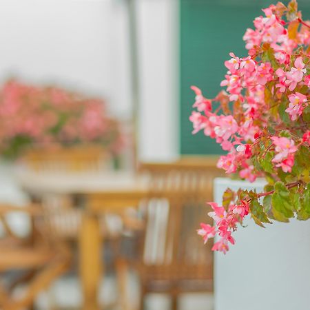 Comercial Boutique Guest House Ponta Delgada  Exterior photo