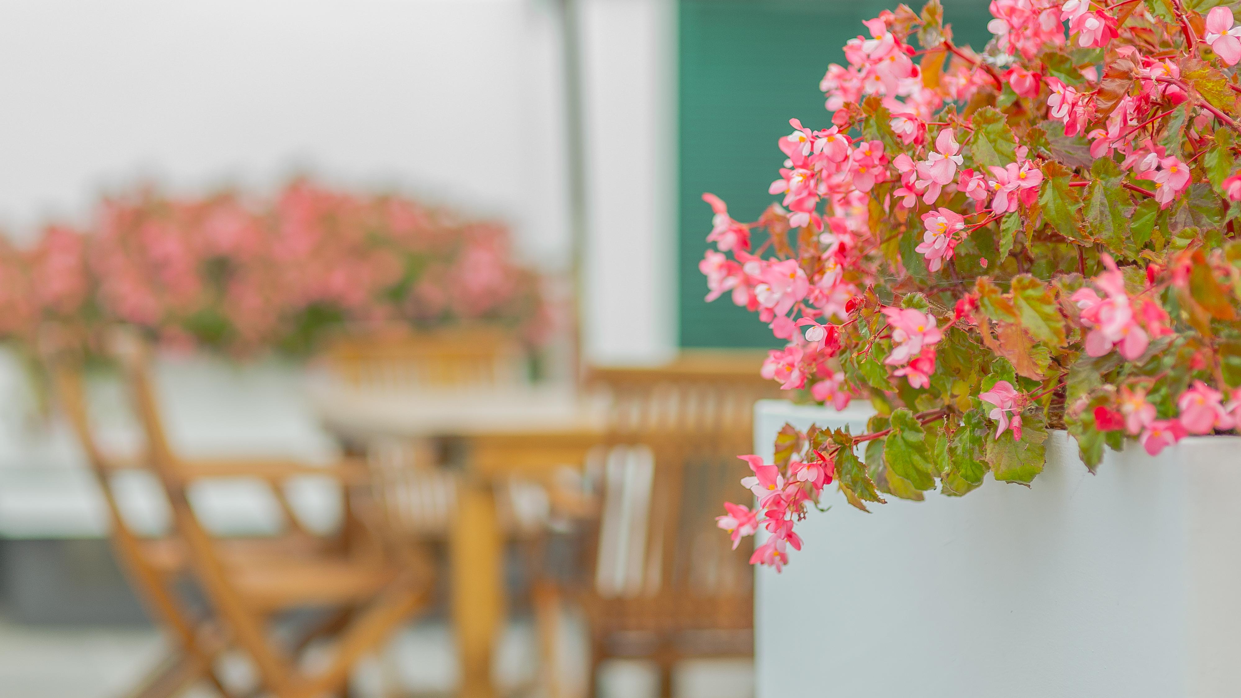 Comercial Boutique Guest House Ponta Delgada  Exterior photo